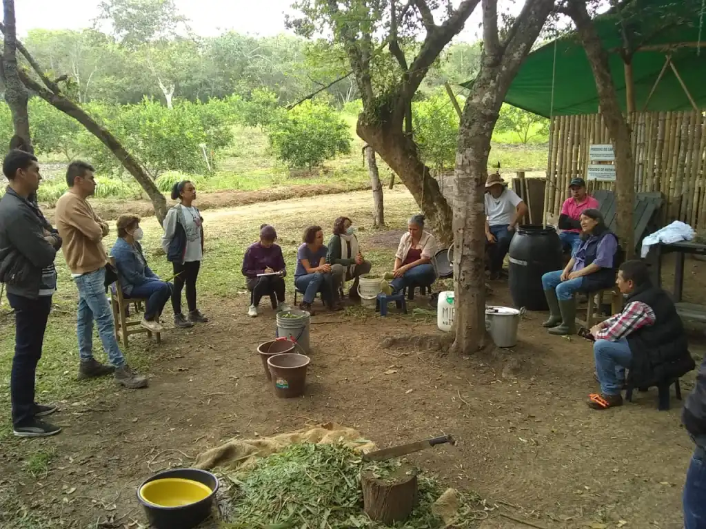 Agua Santa: Aula Viva — foto 3