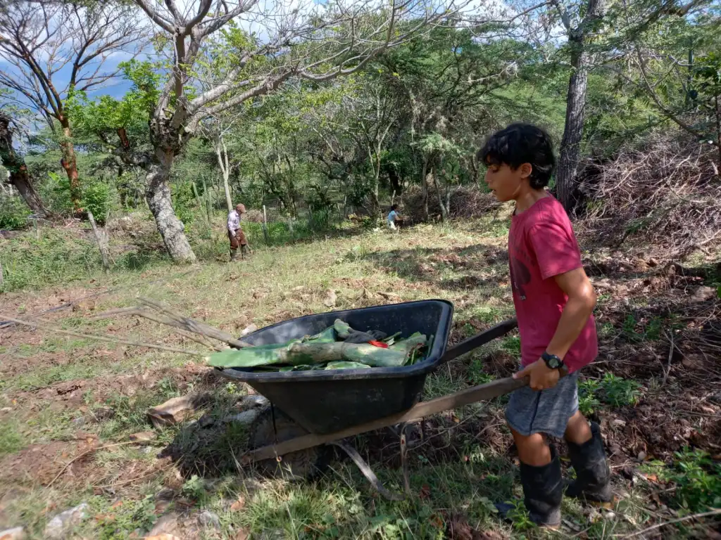 El Paraíso de Nala — foto 3