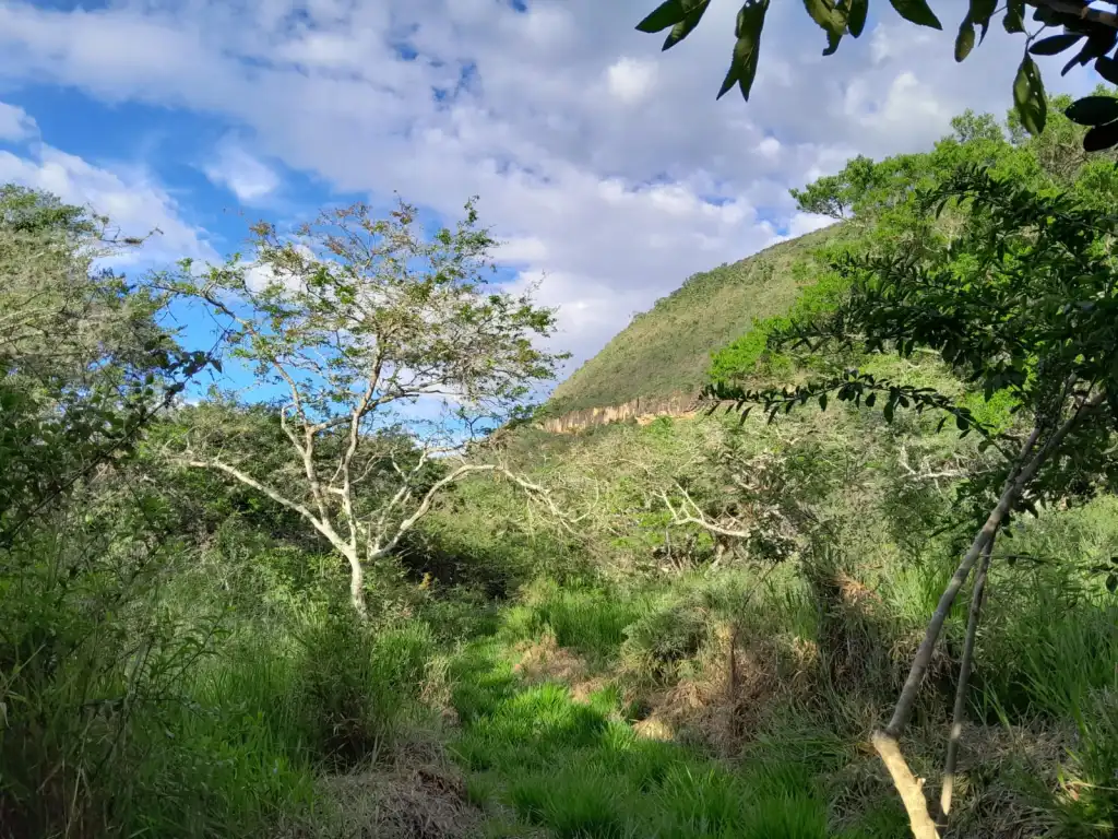 Reserva El Totumo — foto 2