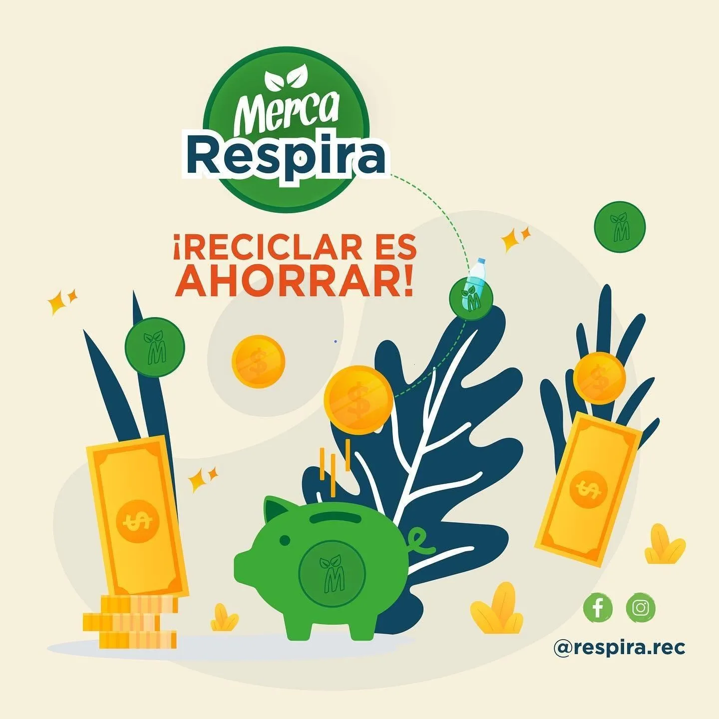 Agricultura Orgánica Regenerativa