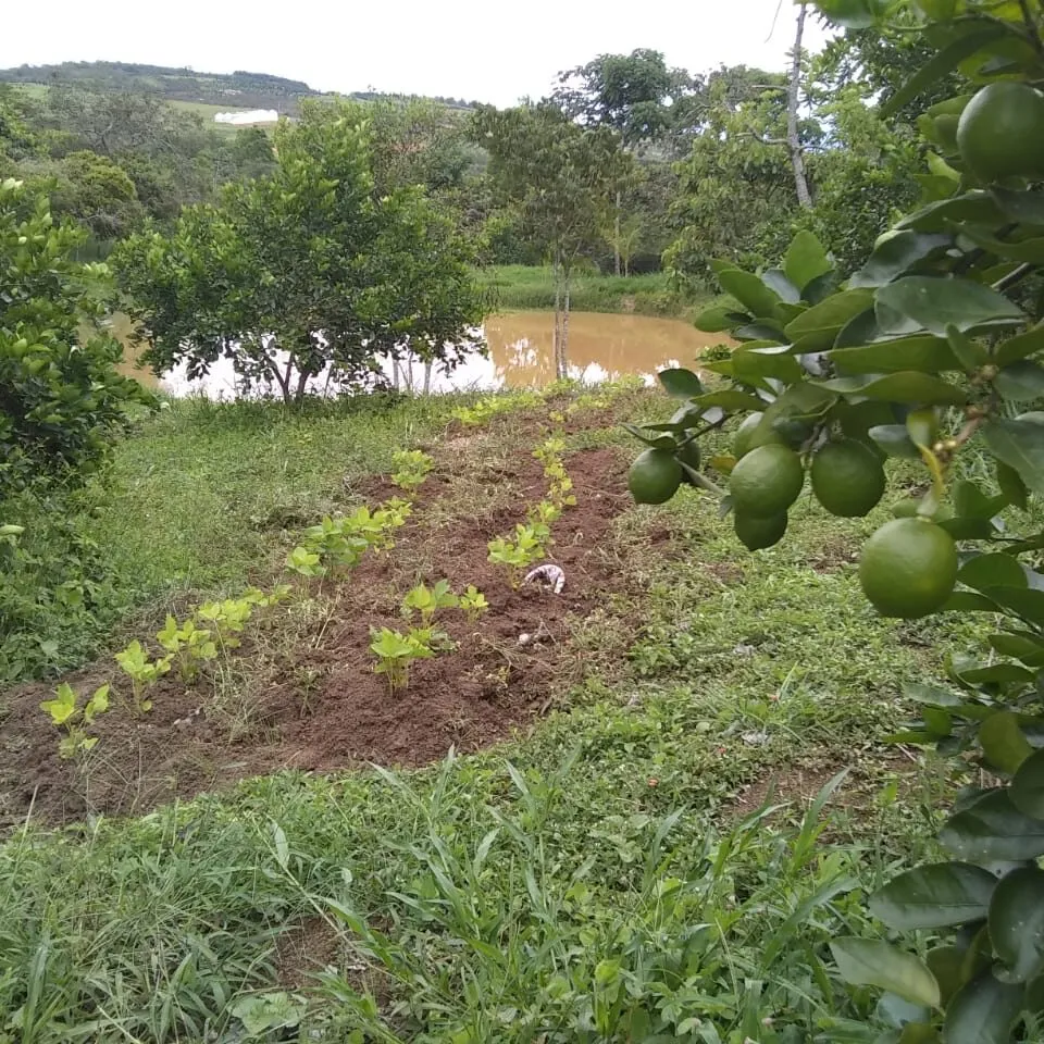 Tejiendo Futuros — foto 1