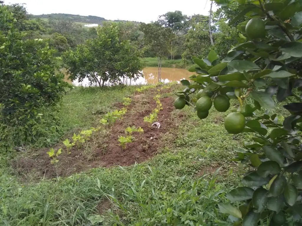 Agua Santa: Aula Viva — foto 1