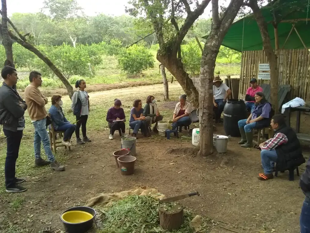 Círculo de personas reunidas bajo los árboles en Agua Santa, Barichara