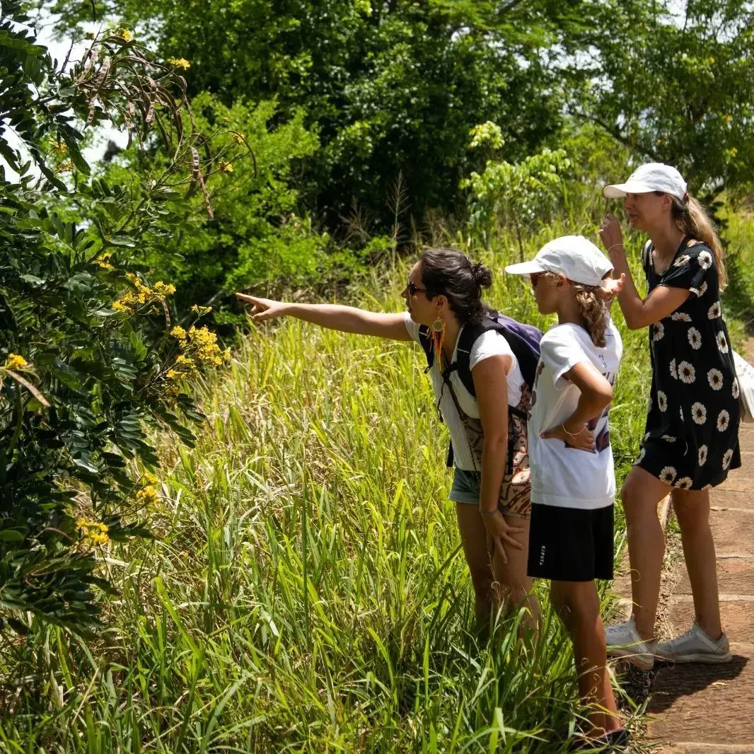Jóvenes observando el paisaje desde un sendero